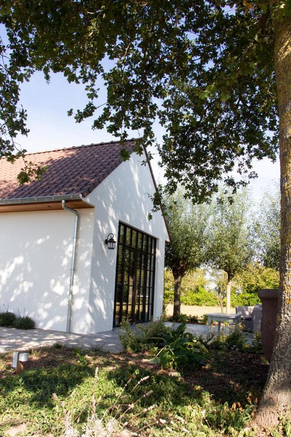 Madelette B&B Moorslede Esterno foto